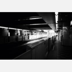 Ilford Ortho plus 36 / 135