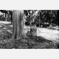 Ilford Ortho plus 36 / 135