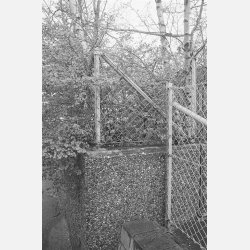 Ilford XP2 Super 400 135-36