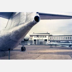 Kono Delight ART 100 135-36