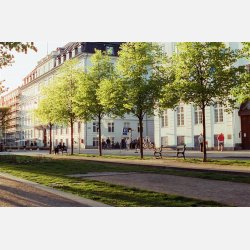 Cinestill 400 D 135 - 36