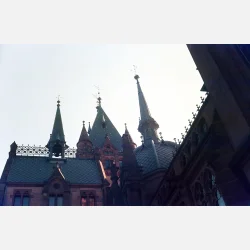 Kono Delight ART 400 135-36