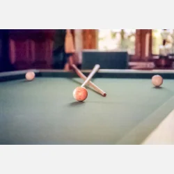 Kono Delight ART 400 135-36