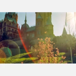 Kono Delight ART 400 135-36