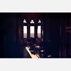 Kono Delight ART 400 135-36