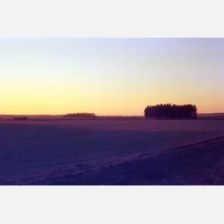 Kono Delight ART 400 135-36