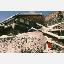 Fuji Velvia 50 135 - 36