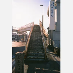 Fuji Velvia 50 135 - 36