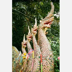 Fujifilm 200 135 - 36