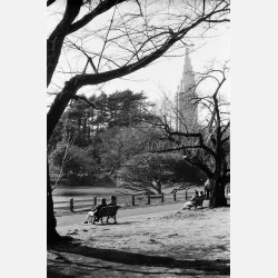 Ilford Ortho plus 120