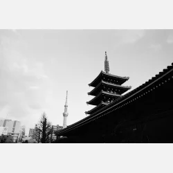 Ilford Ortho plus 120