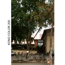 Kono Color 200 135  36