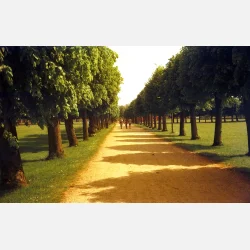 Kono Delight ART II 100 120 format ISO 100