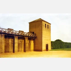 Kono Delight ART II 100 120 format ISO 100