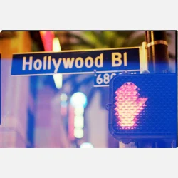 Kono Original Candy 135  36 ISO 100-400