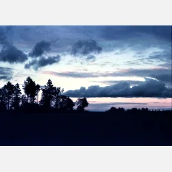 Kono Original Moonstruck 135  36 ISO 100-400