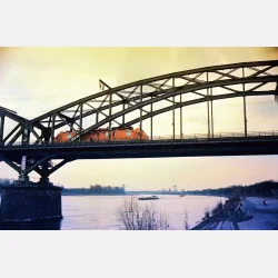 Kono Original Moonstruck 135  36 ISO 100-400