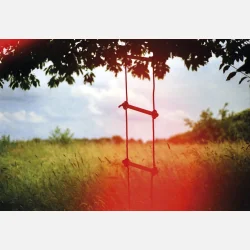 Kono Original Sunstroke 135  36 ISO 100-400