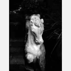 Kono Slow B&W 135-36 ISO 6