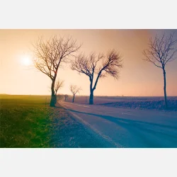 Kono Original Mirage 135  36 ISO 100-400