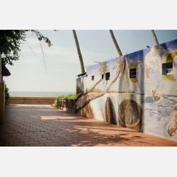 Lomography Color 100 ISO - 3pk.