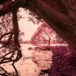 Lomography Purple 400 120