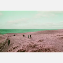 Lomography Purple XR 100-400