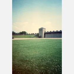 Kono Original Monsoon 135  36 ISO 100-400