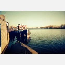 Kono Original Moonstruck 135  36 ISO 100-400