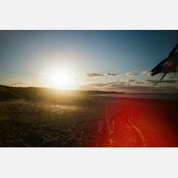 Kono Original Sunstroke 135  36 ISO 100-400