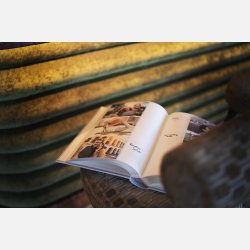 Focus Super 300 Base Line Canvas BL