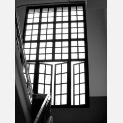 Yashica FX-D 100 Film Simulation Camera