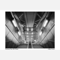 Kentmere Pan 200 135 - 36