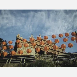 Yashica FX-D 100 Film Simulation Camera