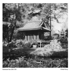 Kentmere 200 120 Film