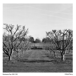 Kentmere 200 120 Film