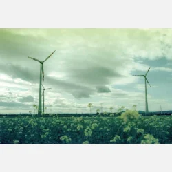 Kono Original Monsoon 135  36 ISO 100-400